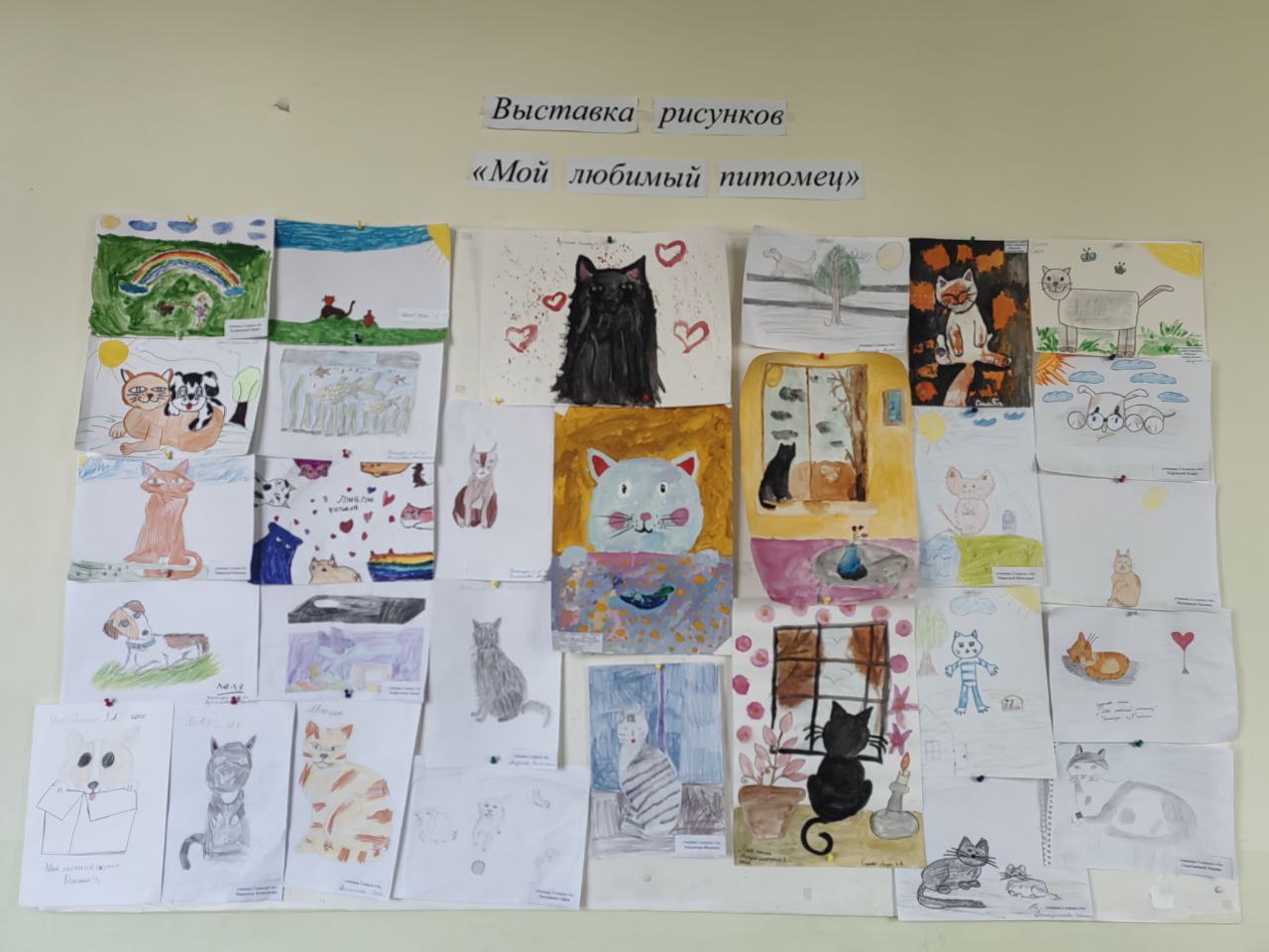 photo 2025 10 16 21 52 19